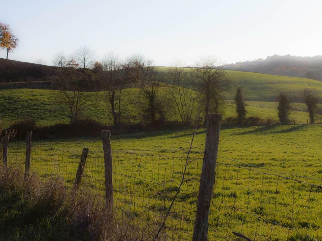 Le Casette Country House Petricci Exterior foto